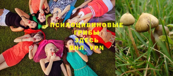каннабис Алексин